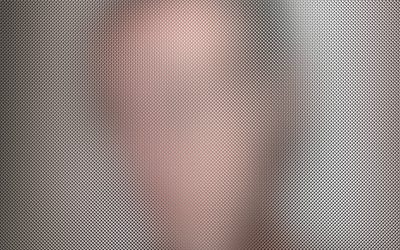 ARMED DEMOCRACY: Apathy Towards Authoritarianism and Aggression