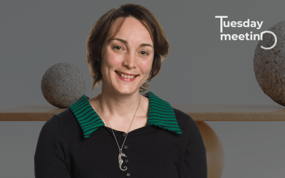 Tuesday Meeting: »Public Rape and Survival Politics«